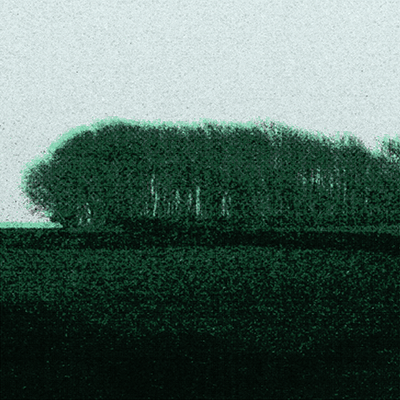 COPSE AT DUSK 2